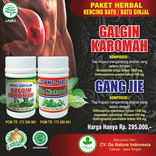 Illustration for article titled Jurnal Tentang Penyakit Batu Ginjal
